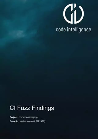 Findings CI Fuzz