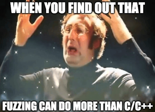 Fuzzing Can Do More Than CC++