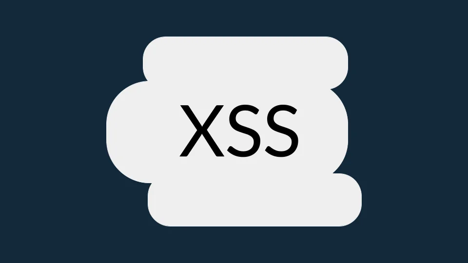 Cross-Site Scripting (XSS) Explained 