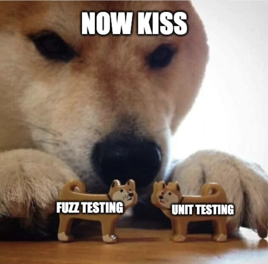 fuzz-testing-vs-unit-testing