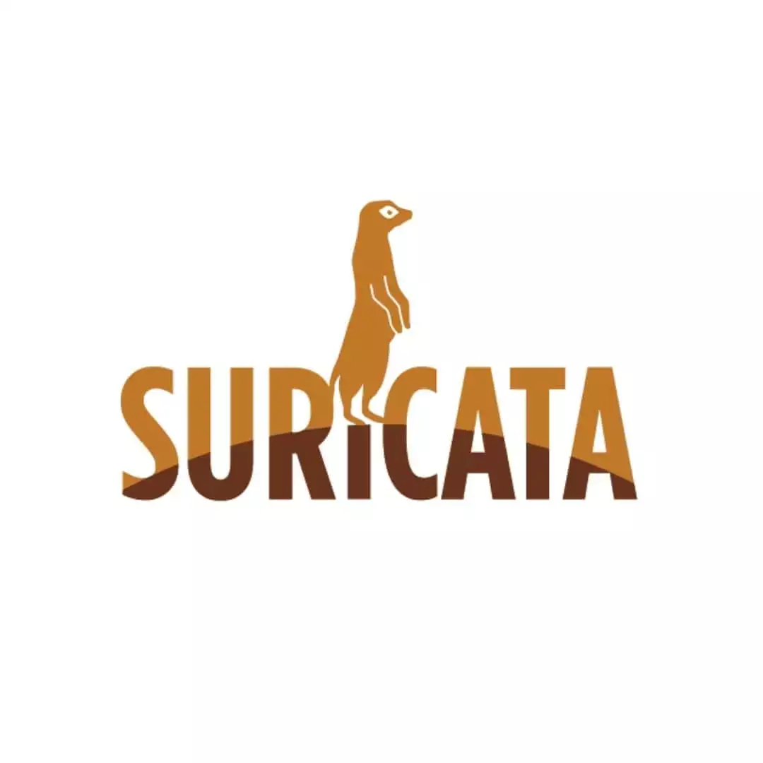 CVEs Found in Suricata CVEs Found in Suricata