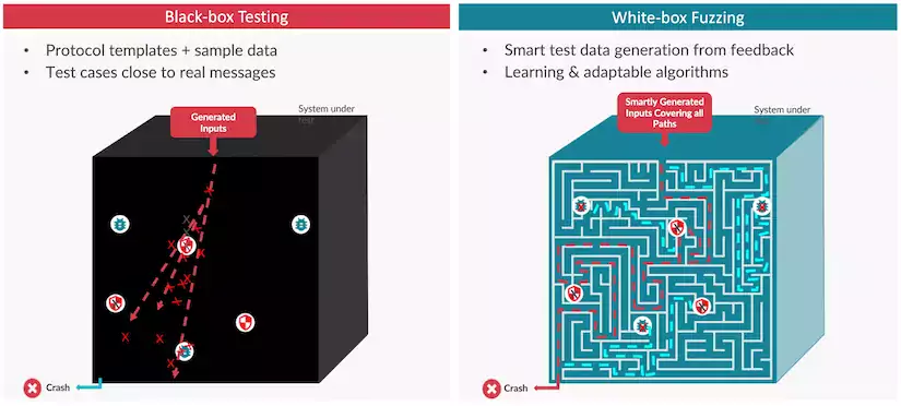 The difference between black-box-fuzzing and white-box-fuzzing.